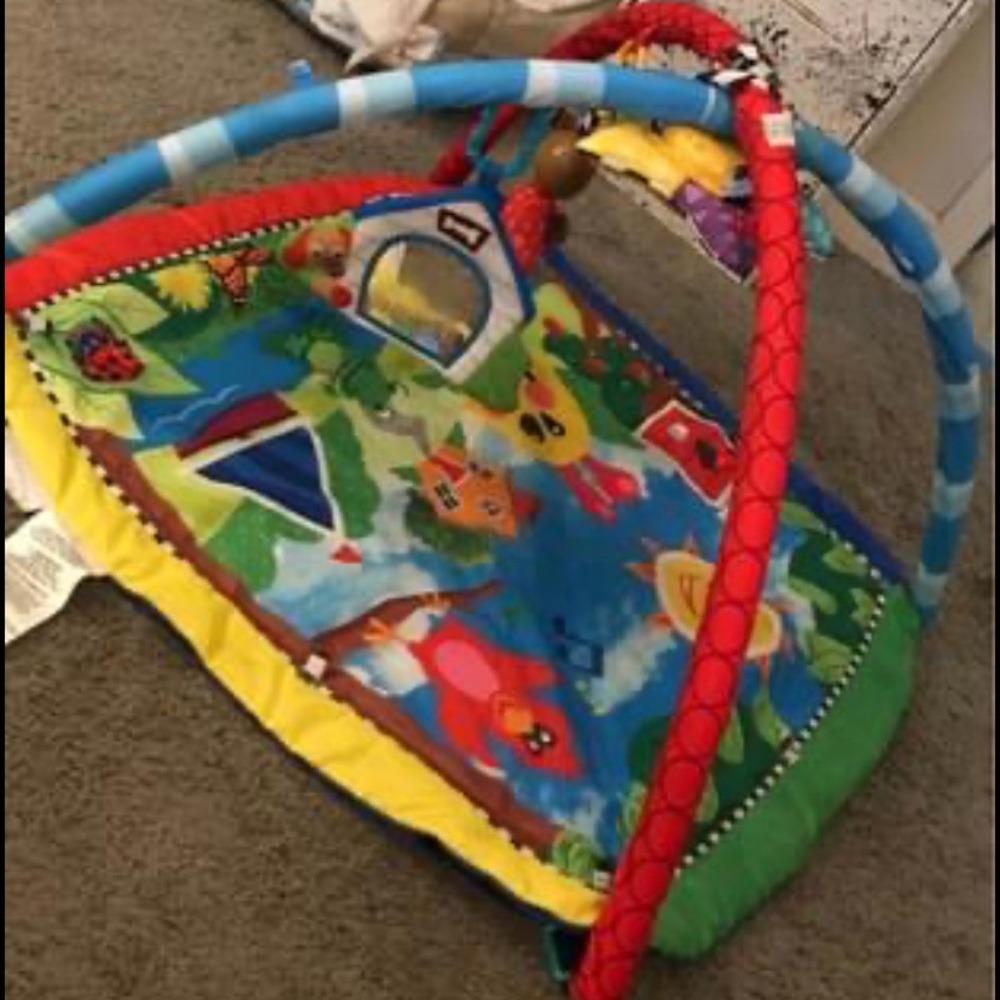 Caterpillar& Friends PlayGym